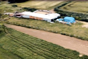 Tekirdağ’da 11 küçükbaş çalan 5 şüpheli, yakalandı