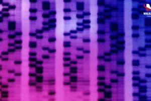 Bilim insanları prostat kanserinde erken teşhis için tükürük testi geliştirdi