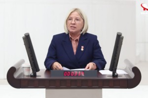 CHP Tekirdağ Milletvekili Nurten YONTAR hububat alım fiyatlarını eleştirdi