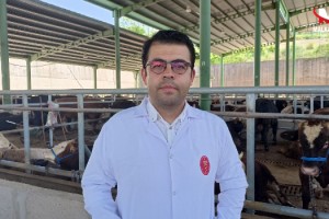 Kocaeli Veteriner Hekimleri Odası Başkanı Bostancı'dan 'kurbanlık' uyarıları