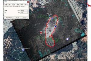 OGM'nin 'yapay zekası'na BM'den çevre ödülü