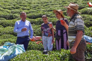 Özgür Özel: Çay kanunu mutlaka çıkarılmalıdır