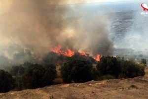 Tekirdağ'da ormanlara girişler 15 Ekim'e kadar yasaklandı