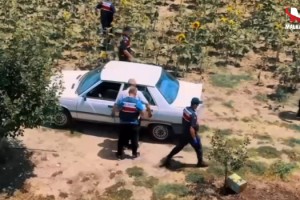 Hazine arazisine Hint keneviri eken şüpheli yakalandı