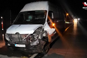 Minibüsün çarptığı sürüdeki 16 koyun öldü