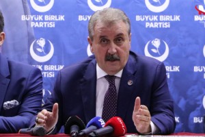 Mustafa Destici: Köpeklerimizi sokaklarımızdan temizleyelim