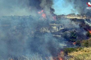 Şarköy’de yangın; 35 dönüm zeytinlik ile 600 dönüm tarım alanı zarar gördü