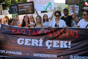 Tekirdağ'da hayvanseverler yürüyüş düzenledi