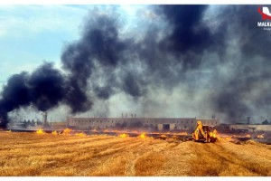 TIR’da çıkan yangın tarım arazisine sıçradı