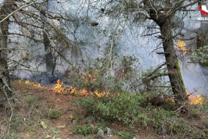Yıldırım düşmesi ile çıkan orman yangını söndürüldü
