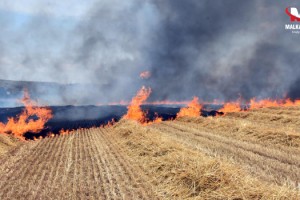Trakya'daki yangınlarda 37 bin 115 dekar tarıma alanı zarar gördü