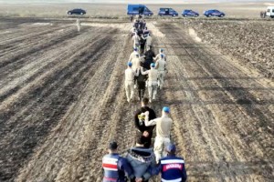 Jandarmadan kaçan göçmenler tarlada yakalandı