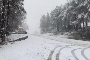 Aydos Ormanı'nda kar yağışı etkili oldu