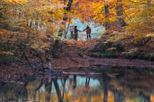 Yedigöller Milli Parkı'nda sonbahar güzelliği