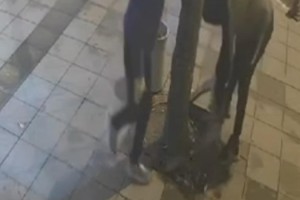 Tekirdağ'da at arabası ile mazgal hırsızlığı kamerada