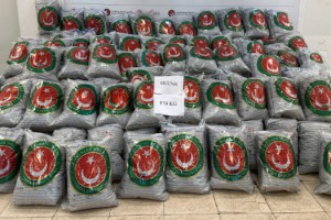 Hamzabeyli'den giriş yapan TIR'da 870 kilo skunk ele geçirildi