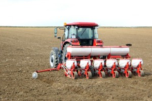 Edirne'de kurak mevsime kalmak istemeyen üretici ayçiçeği ekimine erken başladı