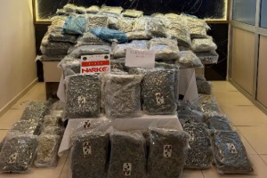 Kapıkule'de 2 TIR’da toplam 171 kilo uyuşturucu ele geçirildi; 2 tutuklama