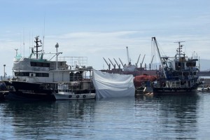 Marmara'yı müsilaj vurdu; Tekirdağlı balıkçılar av sezonunu kapattı