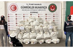 Kapıkule'de otobüsteki 234 kilo esrarı, narkotik köpeği Turbo buldu