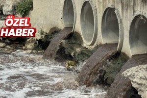 Tekirdağ'da çevreyi kirleten tesislere 50 milyon 212 bin lira ceza