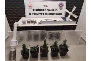 Tekirdağ'da evlerinde uyuşturucu yetiştiren 2 şüpheli yakalandı