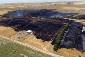 Buğday tarlasına sıçrayan yangında 10 dönüm alan zarar gördü