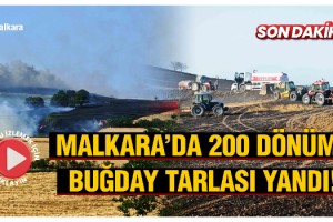 Malkara’da Buğday Tarlasındaki Yangında 200 Dönüm Alan Kül Oldu