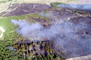 Tekirdağ'da ormanlara girişler yasaklandı
