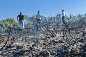 Malkara’da Makilik Alanda Yangın: 50 Dönüm Zarar Gördü