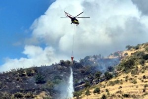 Tekirdağ'da makilik yangını, ormana sıçramadan söndürüldü