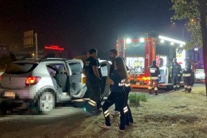 Yol ortasına otururken otomobil çarptı; kurtarılamadı