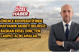 Gönence Kooperatifinde 141 Hayvanın Akıbeti Belirsiz: Başkan Ersel Dinç’ten Çarpıcı Açıklamalar...