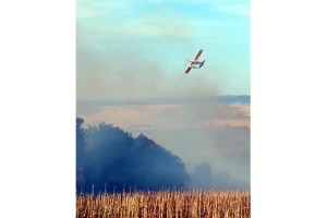 Malkara'da anız yangını ormana sıçradı; 3 saatte kontrol altında