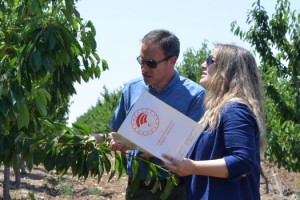 Eskişehir’de zirai dondan etkilenen 606 çiftçiye, 55 milyon lira yardım