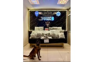 Kapıkule'de otomobile gizlenmiş 23 kilo skunk ele geçirildi