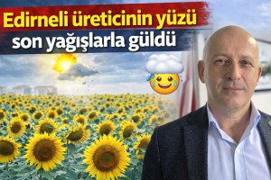 Kurak geçen 2 yılın ardından Edirneli üreticinin yüzü, son yağışlarla güldü