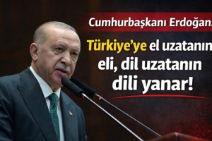 Cumhurbaşkanı Erdoğan: Türkiye'ye el uzatanın eli, dil uzatanın dili yanar