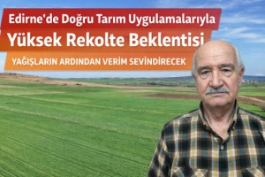 Edirne'de yağışların ardından doğru tarım uygulamalarıyla yüksek rekolte bekleniyor