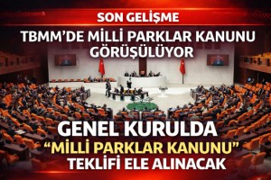 TBMM Genel Kurulu'nda, 'Milli Parklar Kanunu' teklifi görüşmelerine devam edilecek