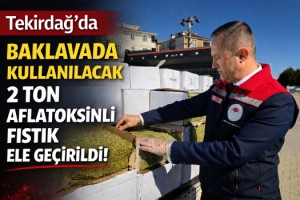 Tekirdağ'da baklavada kullanılacak 2 ton aflatoksinli fıstık ele geçirildi