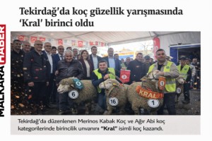 Malkara’da Düzenlenen Festivalde “Kral” Damgasını Vurdu