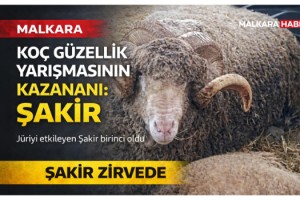 Malkara’da koç güzellik yarışmasının kazanını ‘Şakir’ oldu