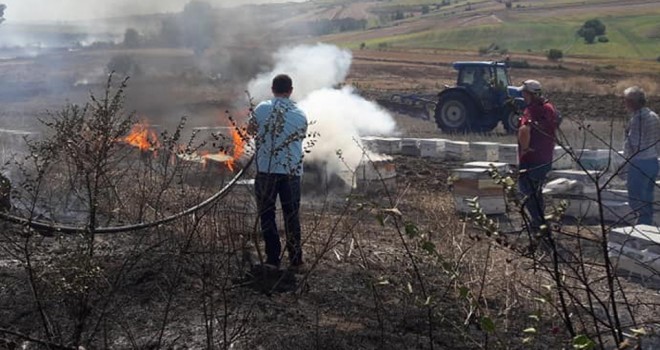 20 Arıkovanı Küle Döndü