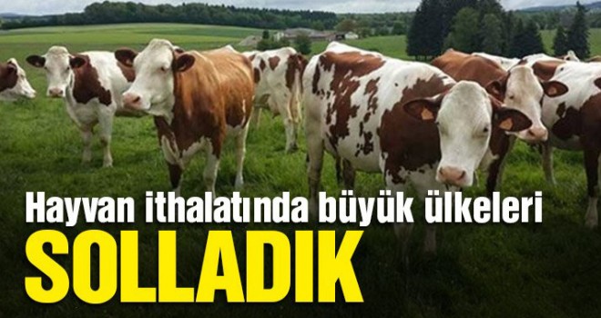 Hayvan ithalatında büyük ülkeleri solladık