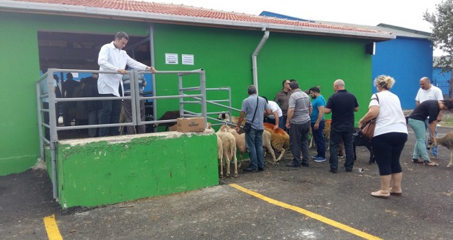 Et Sevkiyatı Hijyenik Şekilde Gerçekleştiriliyor