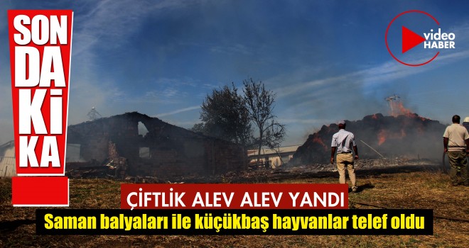 Malkara’da Çiftlik Alev Alev Yandı