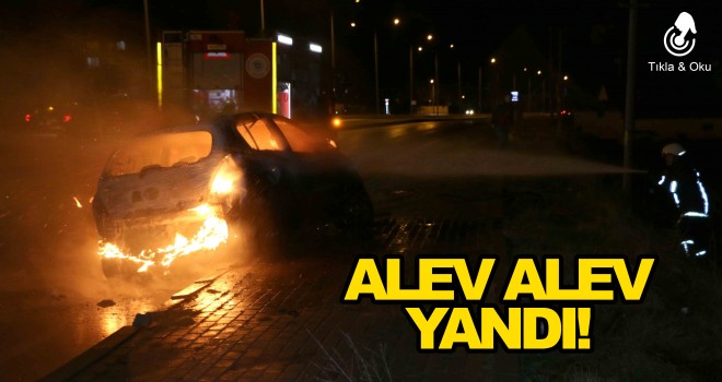 Kaldırıma Çarpan Otomobil Alev Topuna Döndü