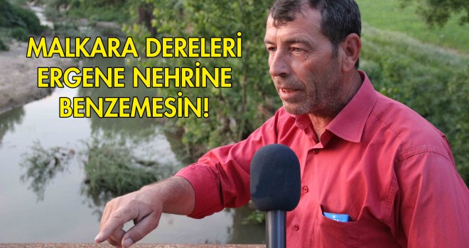 Malkara’da Balık Ölümleri Tekrar Başladı