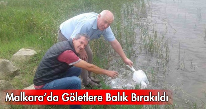 Göletlere Yavru Balık Bırakıldı